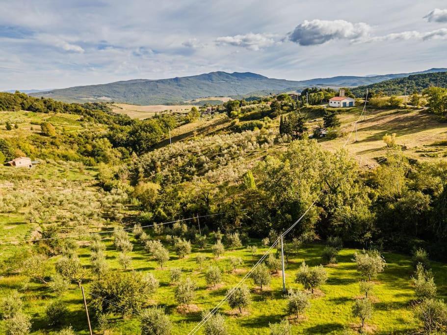 Vila Casa Della Nonna Chianni Exteriér fotografie